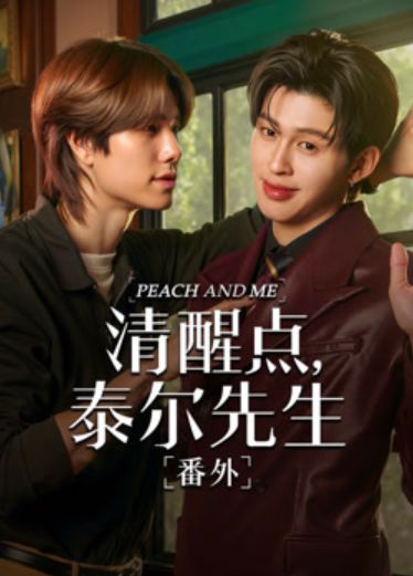 清醒点 泰尔先生番外篇封面图