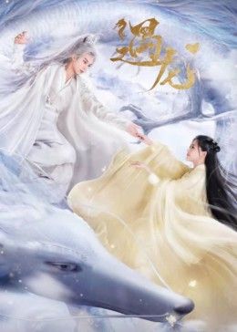 遇龙封面图