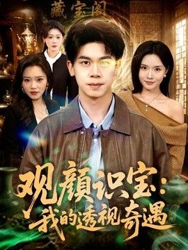 观颜识宝：我的透视奇遇封面图