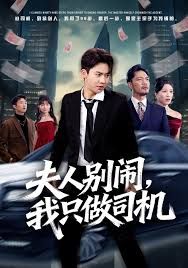 夫人别闹我只做司机