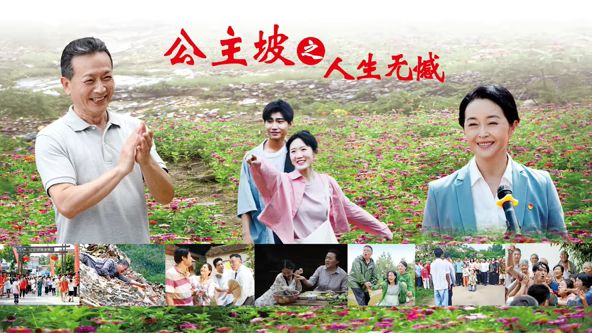 公主坡之人生无憾封面图
