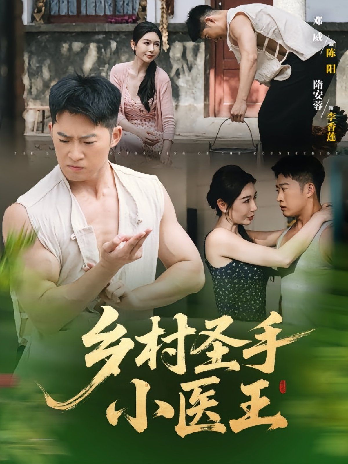乡村圣手小医王