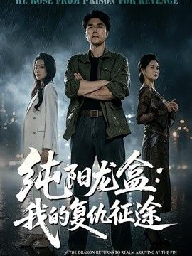 纯阳龙盒：我的复仇征途封面图