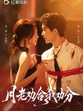 月老劝合我劝分封面图