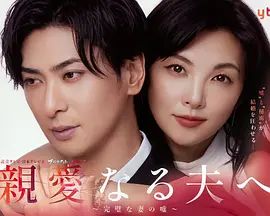 致亲爱的丈夫 完美妻子的谎言封面图