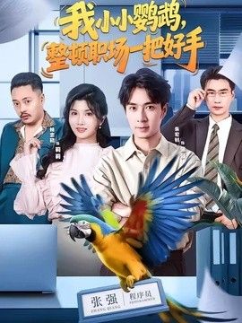 我小小鹦鹉，整顿职场一把好手封面图