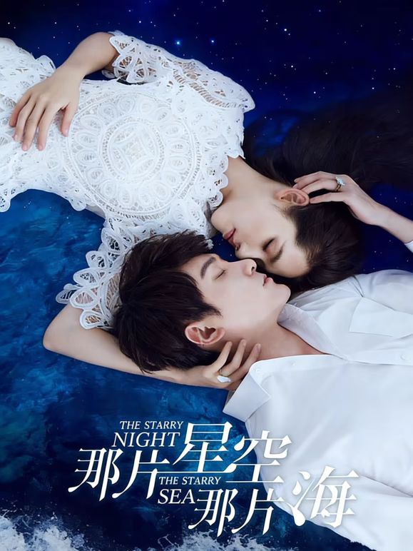 那片星空那片海封面图