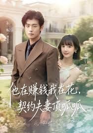 他在赚钱我在花，契约夫妻顶呱呱