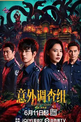 意外调查组封面图