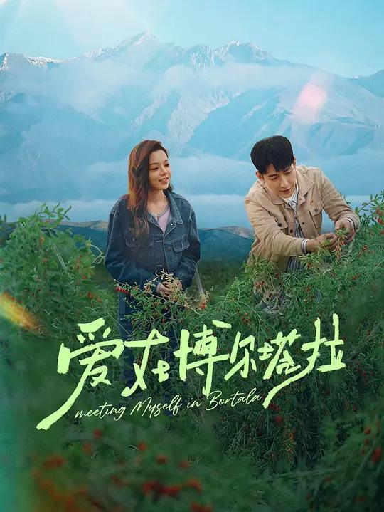 爱在博尔塔拉封面图