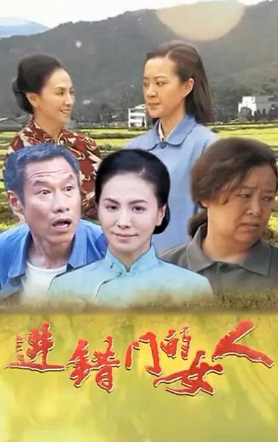 进错门的女人封面图