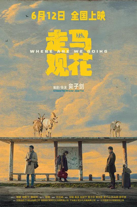 走马观花封面图